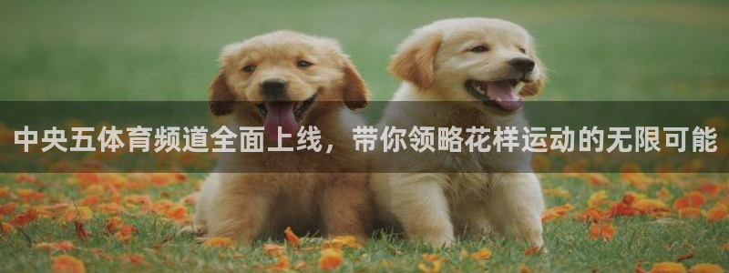 小九直播体育直播平台：中央五体育频道全面上线，带你领略花样运动的无限可能