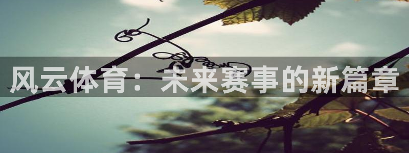小九体育直播足球：风云体育：未来赛事的新篇章