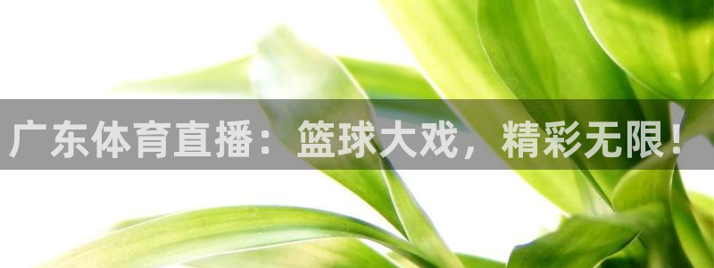 nba赛程直播在线观看视频小九：广东体育直播：篮球大戏，精彩无限！