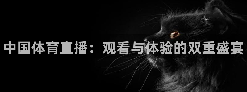英超直播小九：中国体育直播：观看与体验的双重盛宴