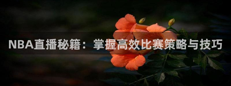 小九直播篮球：NBA直播秘籍：掌握高效比赛策略与技巧