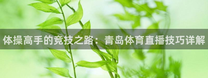 小九直播在线观看：体操高手的竞技之路：青岛体育直播技巧详解