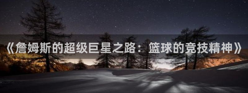 中超小九免费直播：《詹姆斯的超级巨星之路：篮球的竞技精神》