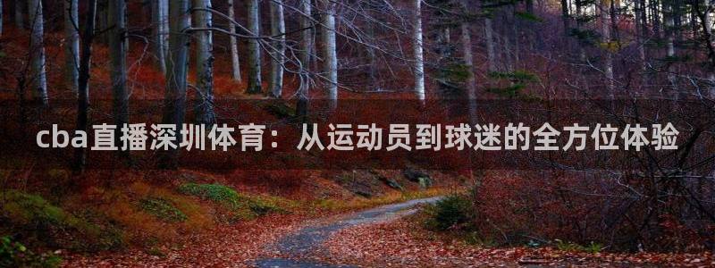 免费nba小九比赛直播高清：cba直播深圳体育：从运动员到球迷的全方位体验