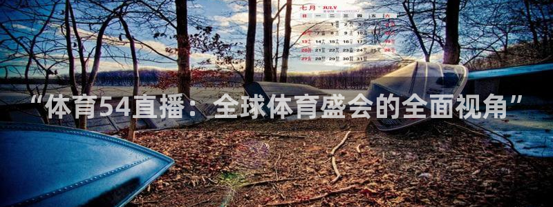 小九足球高清免费直播：“体育54直播：全球体育盛会的全面视角”