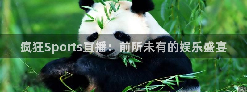 小九足球直播免费观看：疯狂Sports直播：前所未有的娱乐盛宴